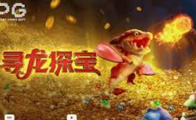 星空综合app免费版