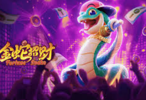 星空综合app正式版