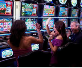 星空综合app最新版