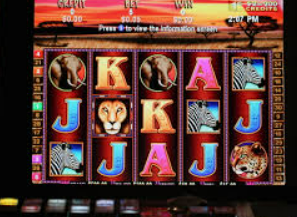 星空综合app桌面版客户端