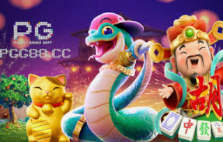 星空综合app最新版