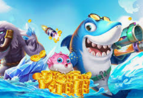 星空综合app手机版