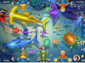 星空综合app正式版