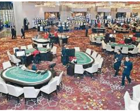 星空综合app手机版