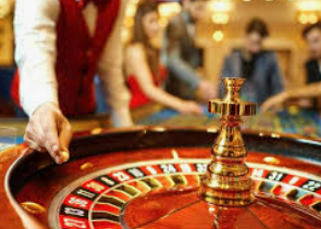 星空综合app2024最新版