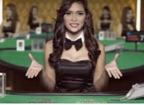 星空综合app电脑免费版